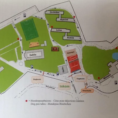 Lägenhet Mimosa M302 De Haan